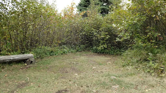 Sugarloaf Pond Camp Picture 6