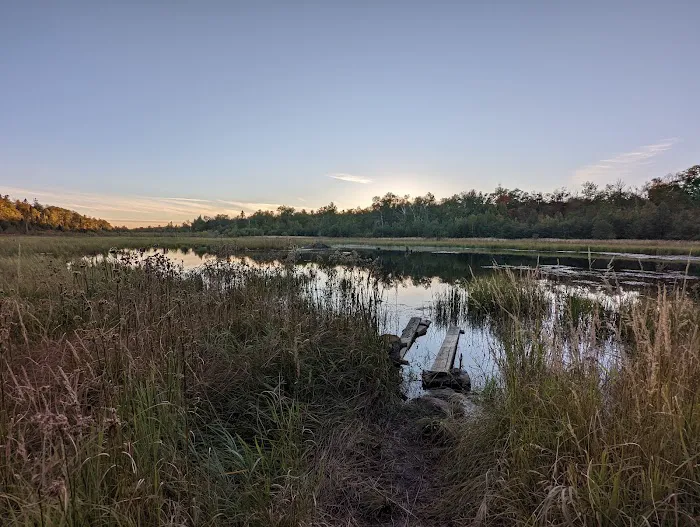 Sugarloaf Pond Camp Picture 9