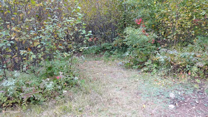 Sugarloaf Pond Camp Picture 8