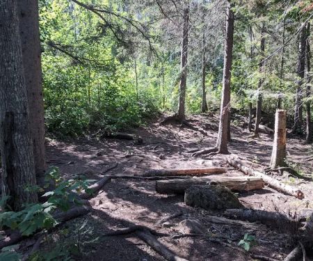 Horseshoe Ridge Camp