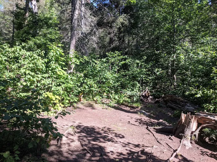 Horseshoe Ridge Camp Picture 2