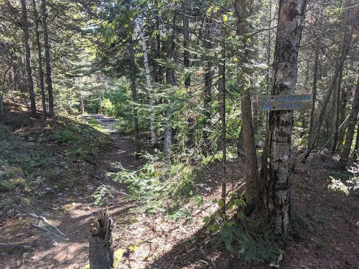 Horseshoe Ridge Camp Picture 5