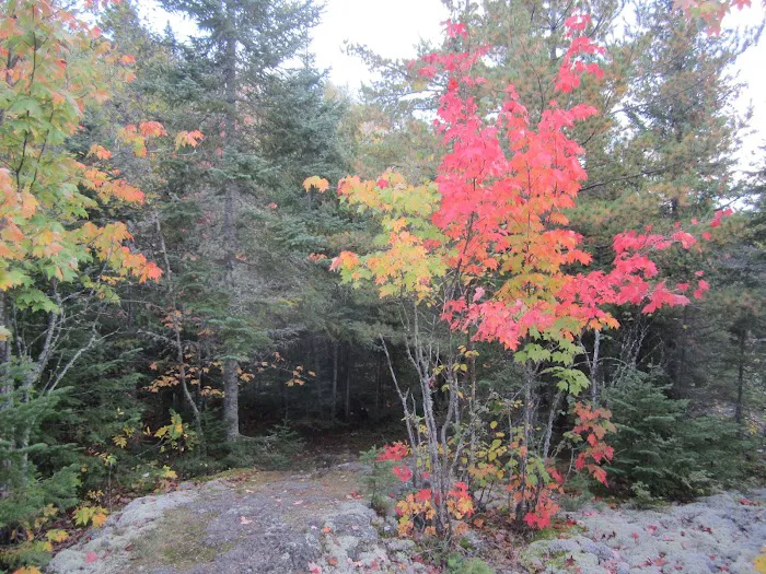 Horseshoe Ridge Camp Picture 6