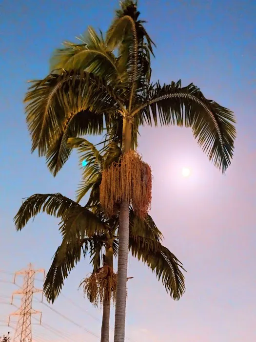 The Californian Estates - Paramount Picture 6