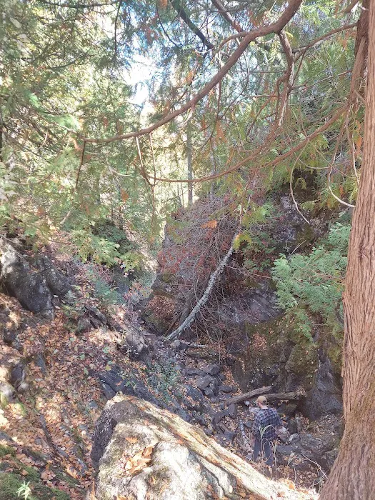 Crystal Creek Camp Picture 6
