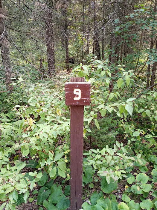 Temperance River Campground Picture 10