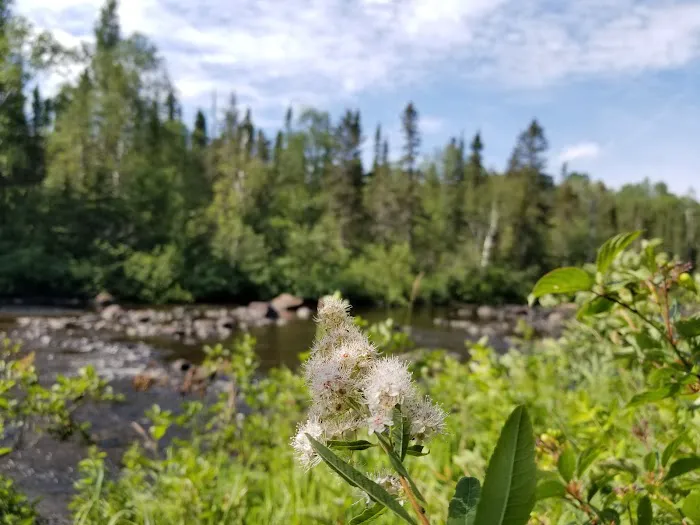 Temperance River Campground Picture 9