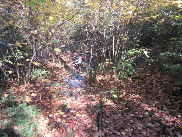 Ledge Camp Picture 2