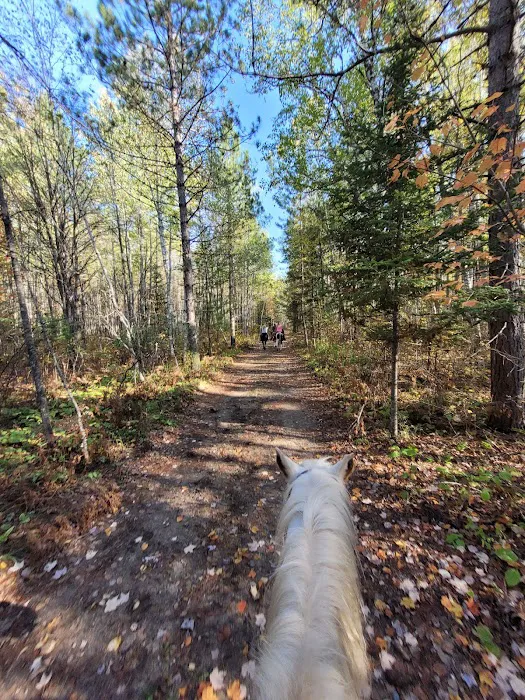 Togo Horse Campground, MNDNR Picture 5