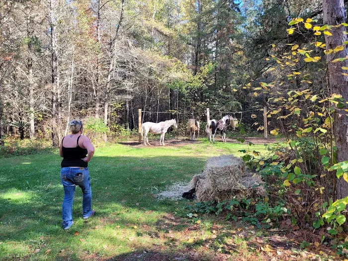 Togo Horse Campground, MNDNR Picture 8