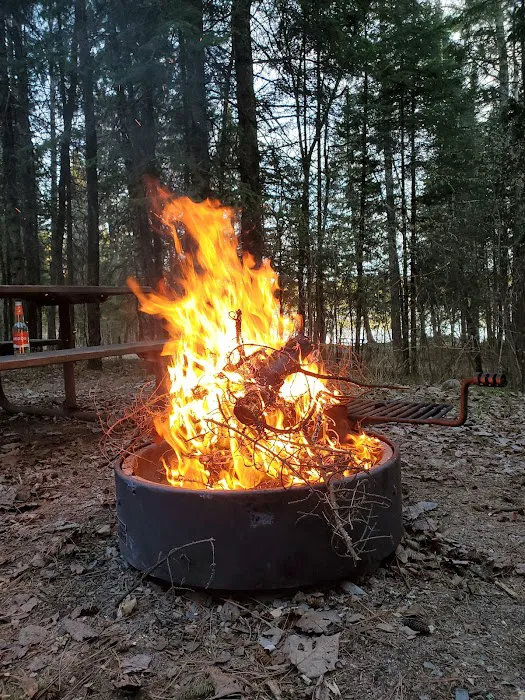 Thistledew Campground and Day Use Area Picture 4