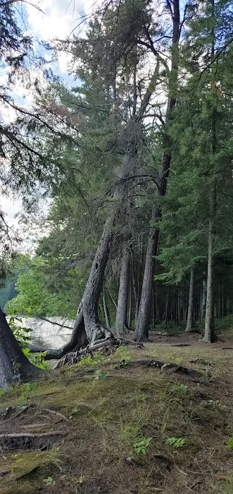 Thistledew Campground and Day Use Area Picture 8