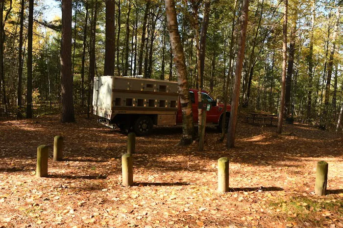 Buttonbox Lake Campground Picture 2