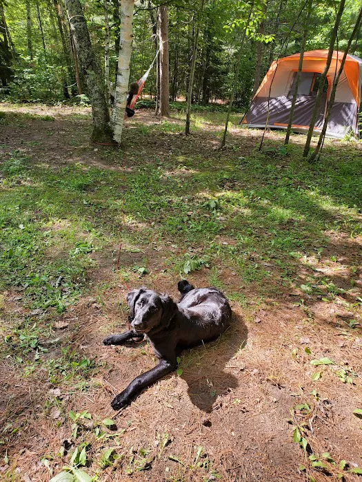 Buttonbox Lake Campground Picture 5