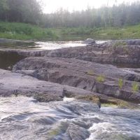 Samuelson Park ico