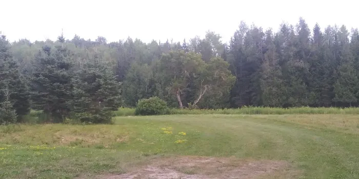 Samuelson Park Picture 9
