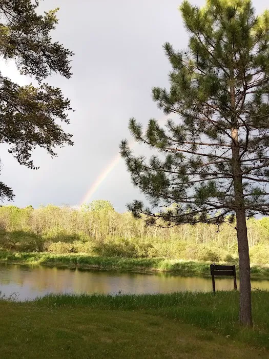 Huntersville Forest Campground Picture 6