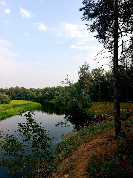 Huntersville Forest Campground Picture 7