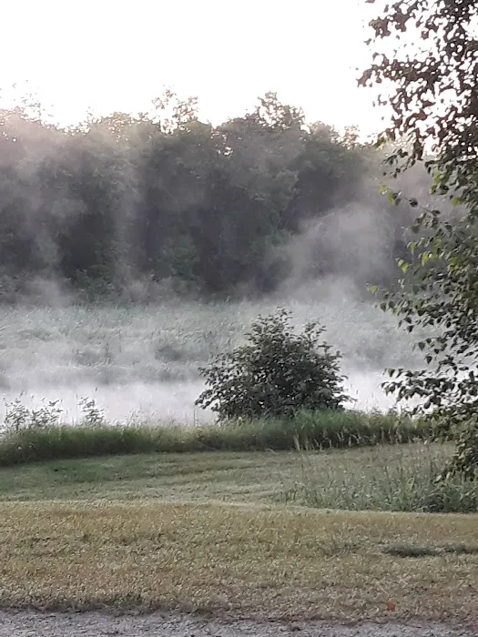Huntersville Forest Campground Picture 10
