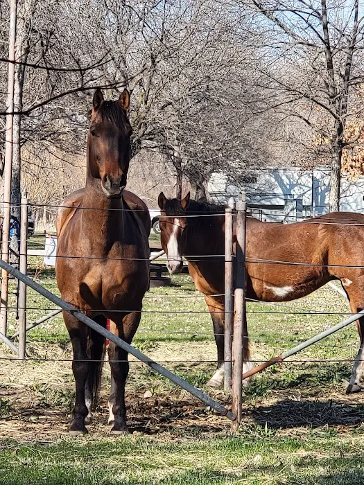 Pawnee Lake Horse Corrals Picture 5