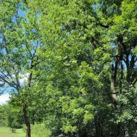 Area Three Campground ico