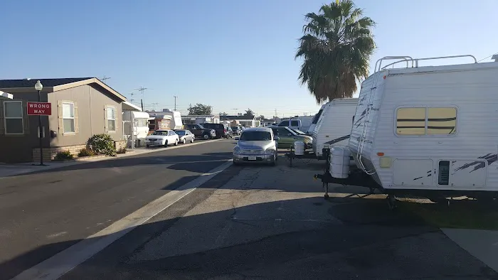 Ace Trailer Park Picture 2