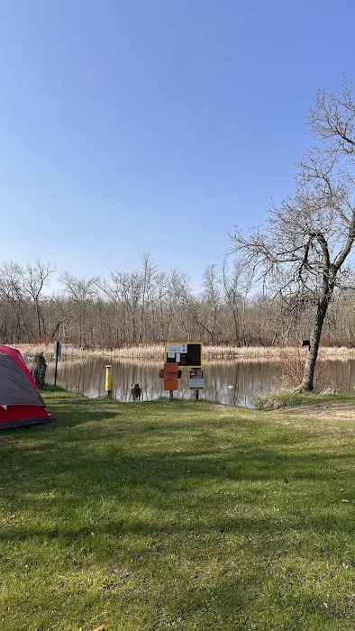 Tree Farm Campground Picture 3
