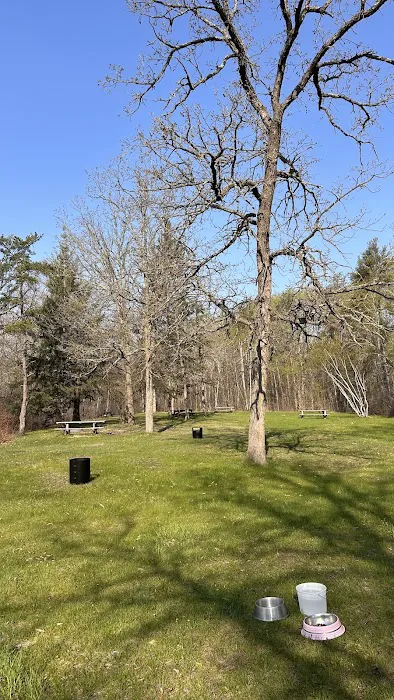 Tree Farm Campground Picture 6