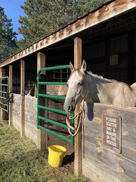 Shell City Horse Camp Picture 1