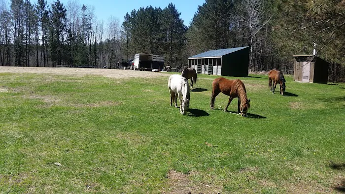 Shell City Horse Camp Picture 6