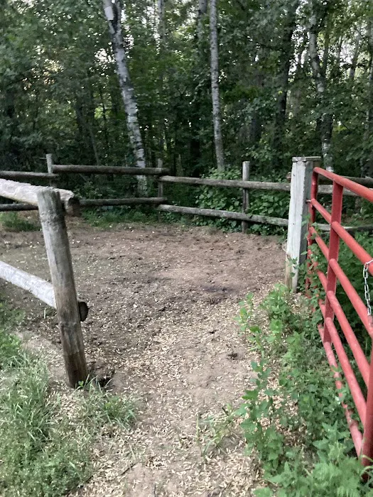 Shell City Horse Camp Picture 9