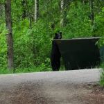 Shell city campground