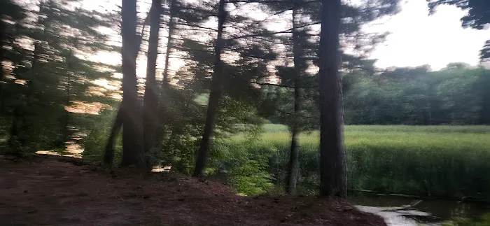 Shell city campground Picture 9