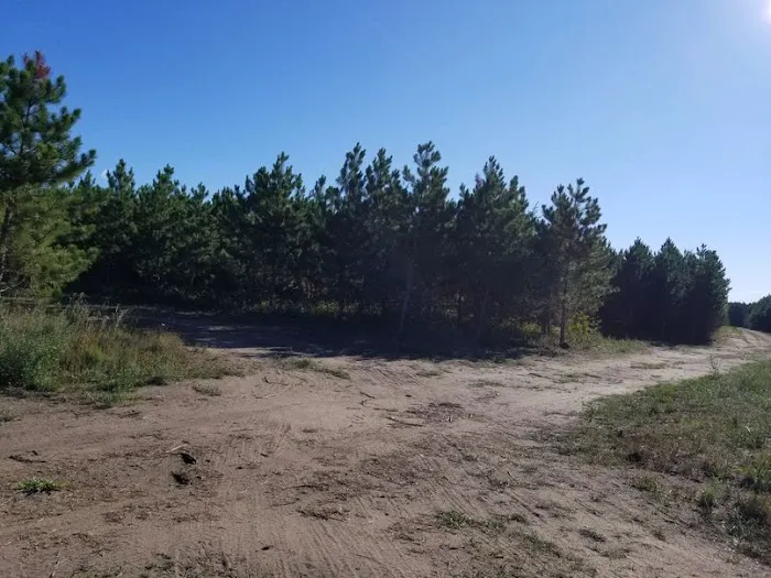 RV There Yet Campground Picture 4