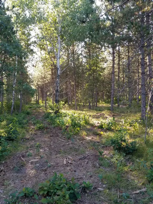 RV There Yet Campground Picture 1