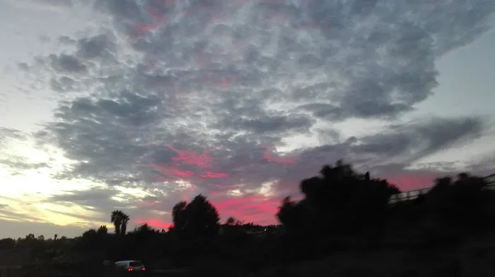 Carman Ranch Picture 7