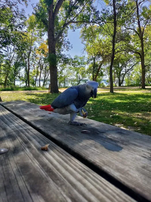 BIG STONE LAKE STATE PARK CAMPGROUND Picture 4