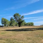 Old Lake Carthage