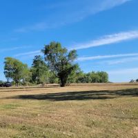 Old Lake Carthage ico