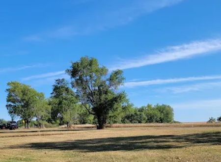 Old Lake Carthage