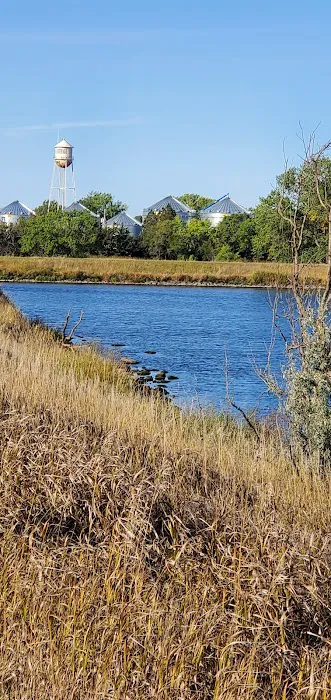 Old Lake Carthage Picture 4