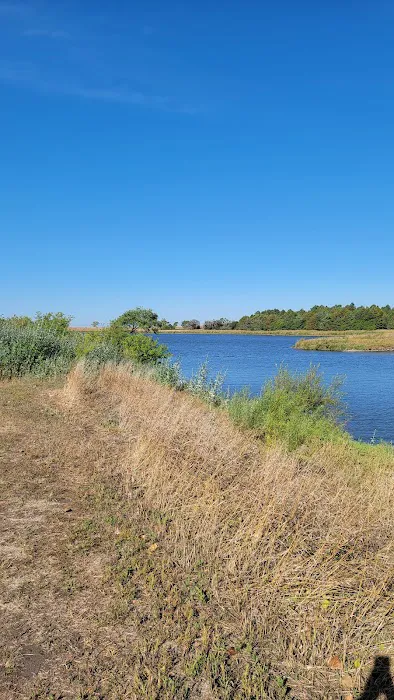Old Lake Carthage Picture 5