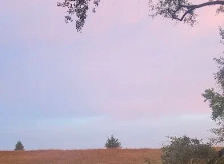 Carthage City Park (Campground)