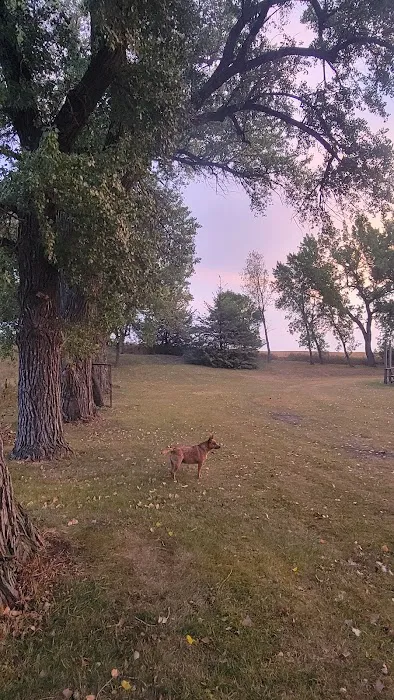 Carthage City Park (Campground) Picture 6