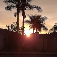 Woods Mobilehome Park ico