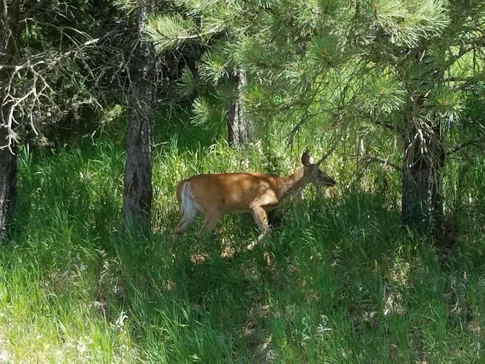 Sioux Council Boy Scout Reservation Picture 6