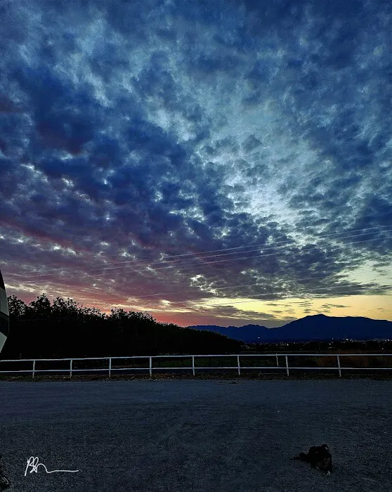 Rio Grande Valley Ranch RV Resort Picture 4