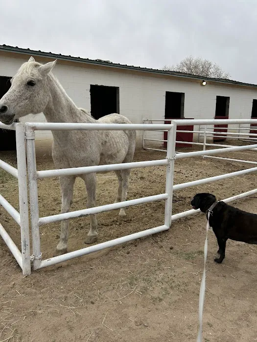 Rio Grande Valley Ranch RV Resort Picture 6