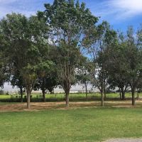 Valley Acres Mobile Home Park ico