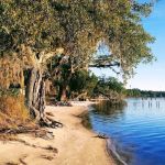 WMA Bayside Campground
